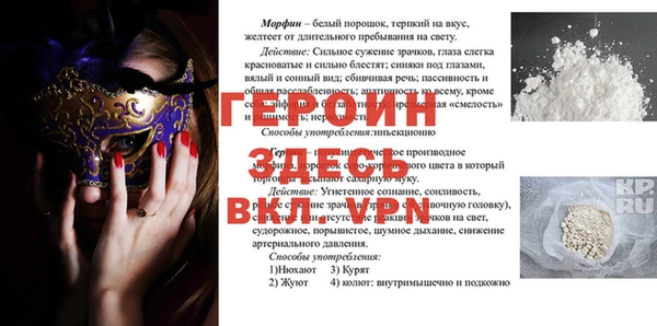амф Тайга